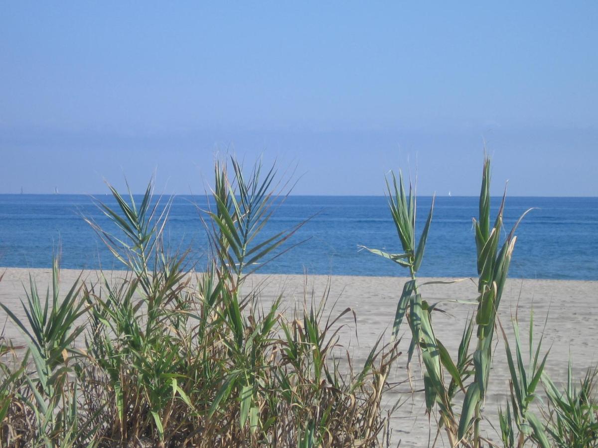 Studio Vue Sur La Mer Au 6Eme Et Dernier Etage Canet-en-Roussillon Εξωτερικό φωτογραφία